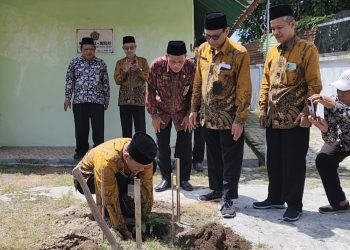 Kemenag Kota Tegal Dukung Gerakan 1 Juta Pohon Matoa, Wujudkan Prinsip Ekoteologi